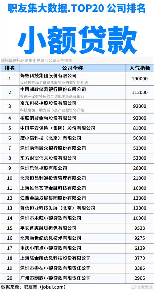 2025年小贷公司,机遇与挑战并存?