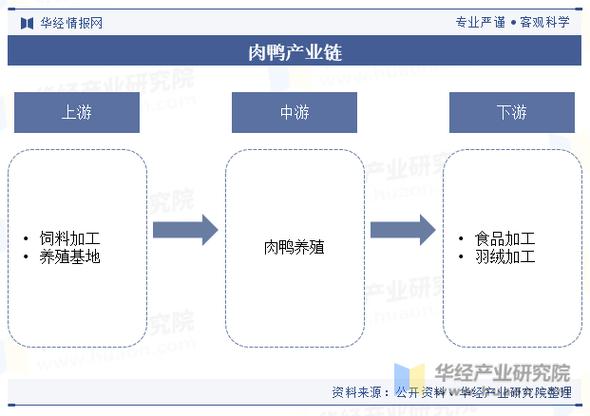 2025禽类养殖业前景如何?机遇与挑战并存?