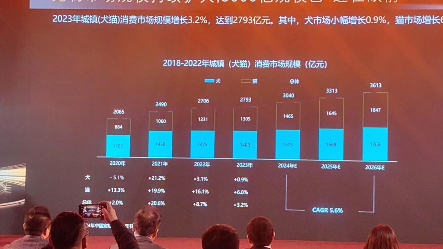 中国宠物服装市场前景如何?