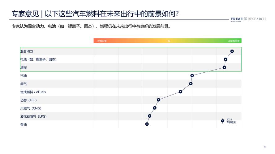 2025年SUV市场趋势,哪些变化将主导?