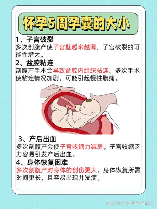 国家政策如何影响妇产科发展?