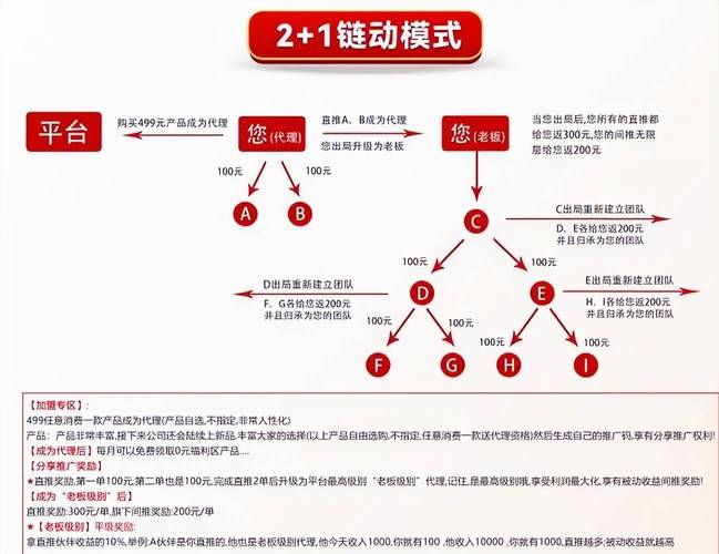 网红运行模式的政策基础是什么?