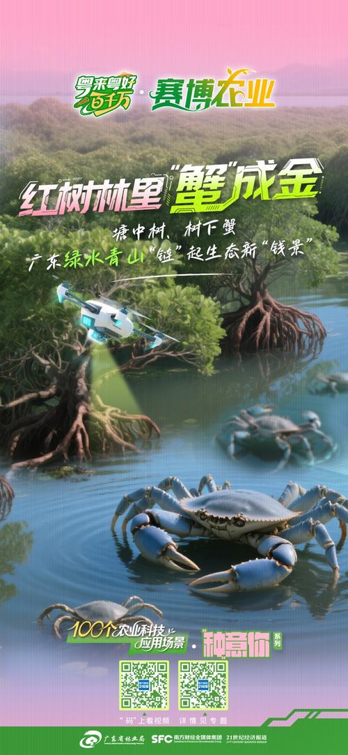 2025年螃蟹养殖前景如何?市场与风险怎样?