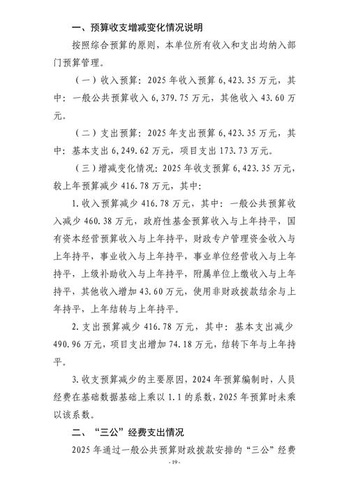 2025年预算前景如何?经济压力下如何平衡?