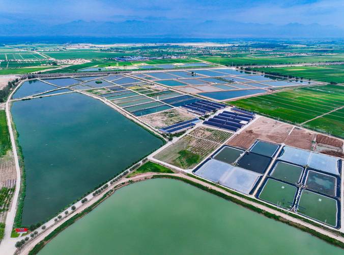 2025年海水养殖前景如何?机遇与挑战并存?