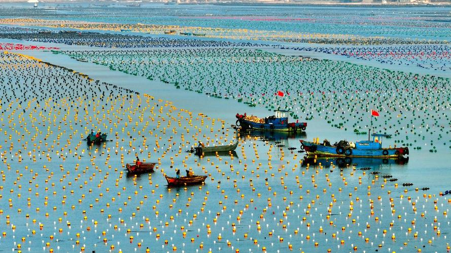 2025年海水养殖前景如何?机遇与挑战并存?