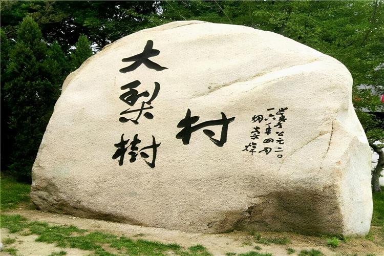 丹东乡村旅游政策审批有何新变化?