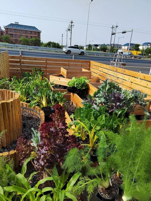 2025年园艺前景怎样