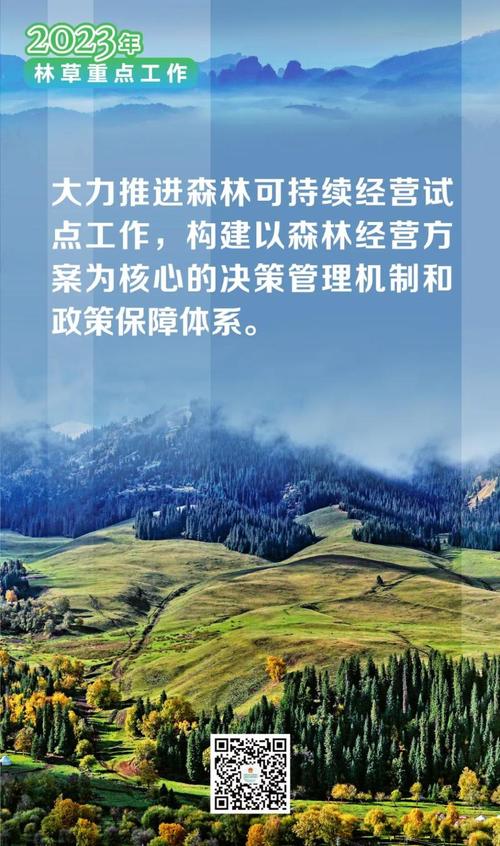 我国林业政策不完善,问题出在哪?