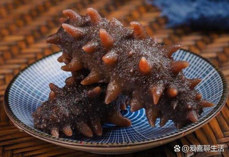 2025年海参养殖前景如何?市场与风险并存吗?