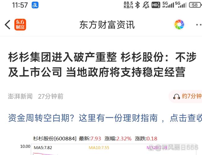 杉杉股份2025年前景如何?