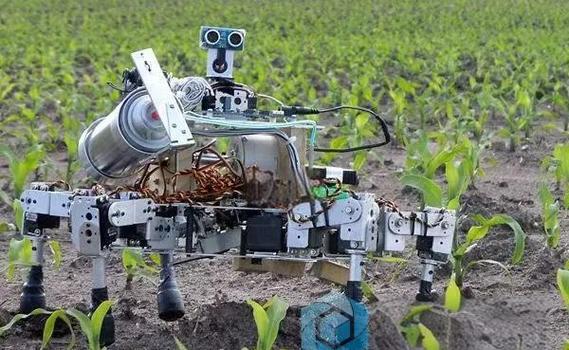 中国农业机械人将如何变革未来农业?