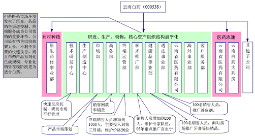 云南白药产业组织政策有何特色与效果?
