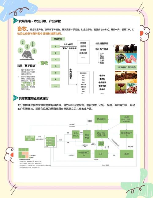 支持油菜产业链发展政策