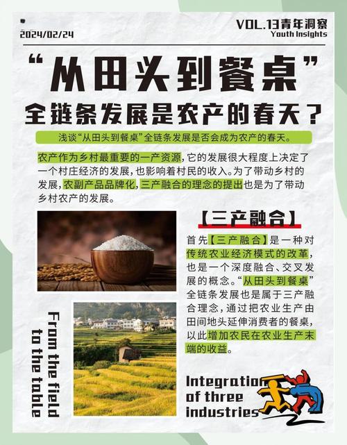 支持油菜产业链发展政策