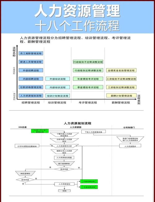 政府政策如何影响人力资源需求?