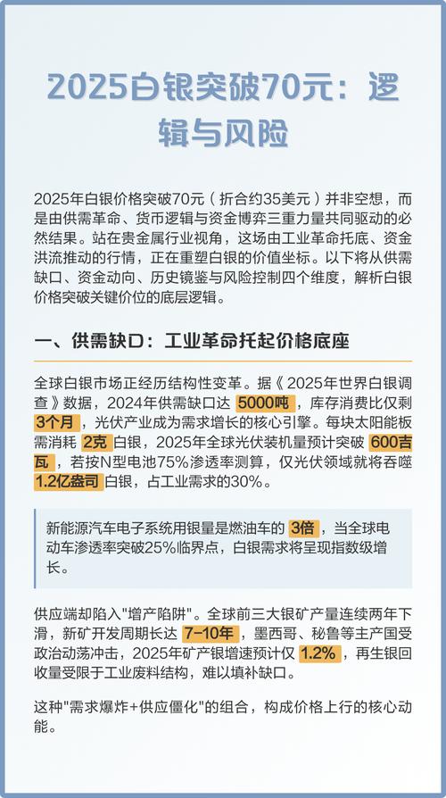 2025年白银工业前景