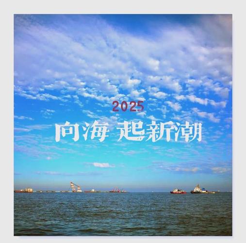 2025曹妃甸发展前景