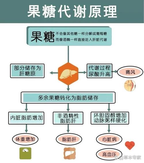 糖化酶研究进展与趋势有何新突破?