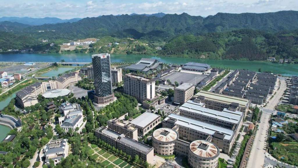 华莱发展问题何在?未来趋势如何?