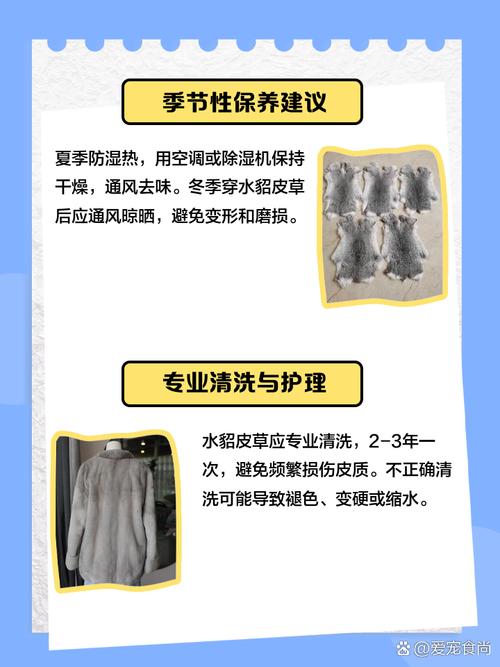 2025年水貂养殖前景