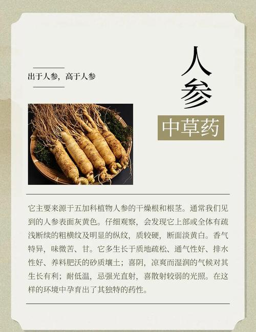 中国对人参产业没有政策