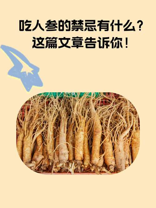 中国对人参产业没有政策