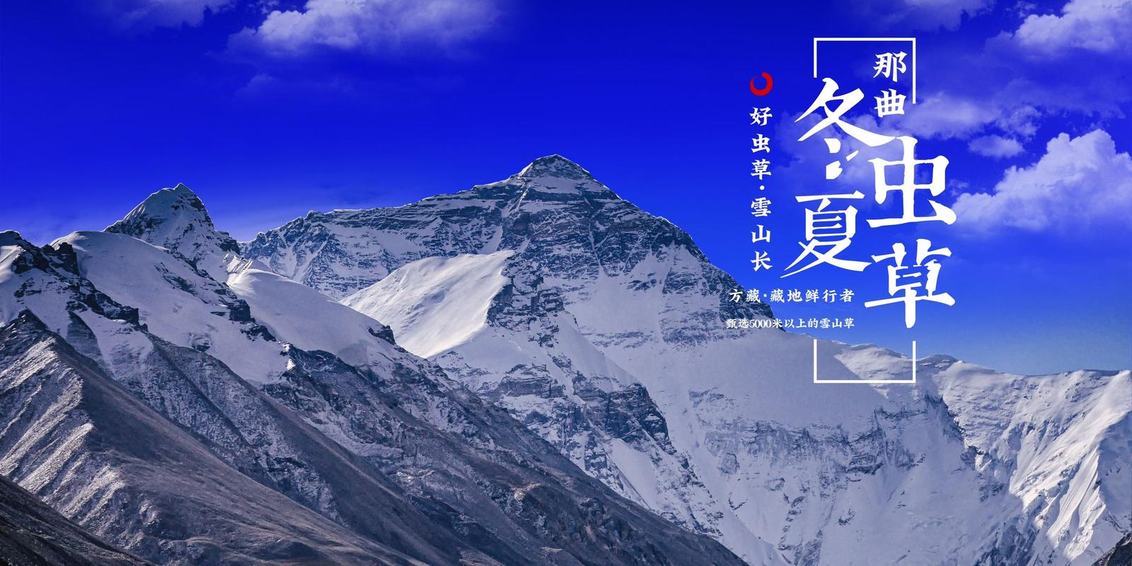 冬虫夏草方面的政策背景