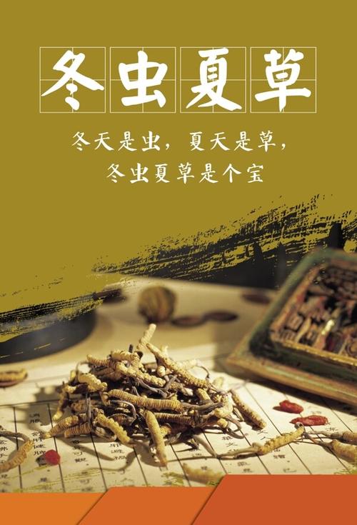 冬虫夏草方面的政策背景