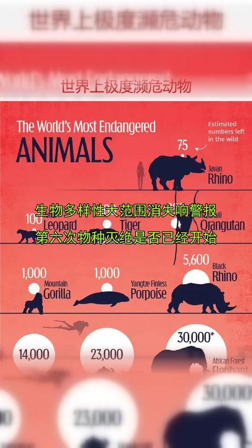 野生动物保护将向何方发展?