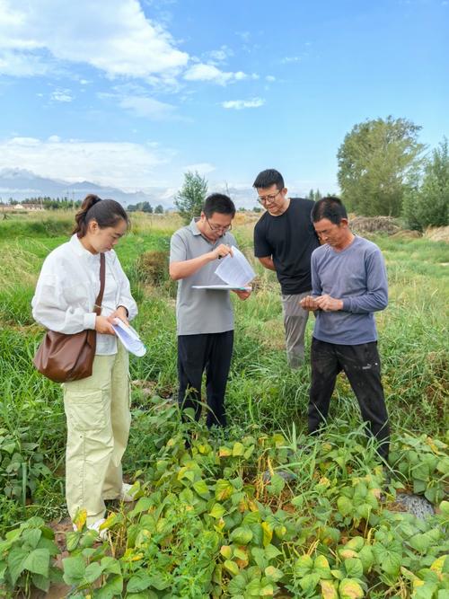 政策性农业保险实施效果如何?