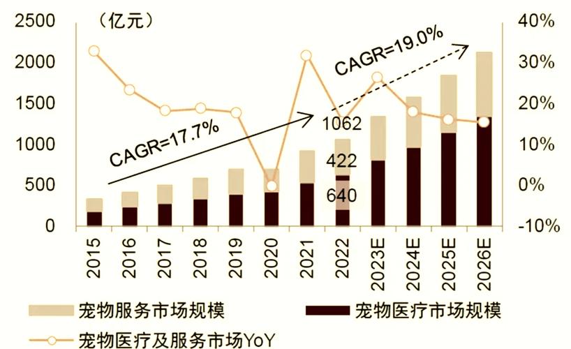 宠物医疗设备销售前景如何?