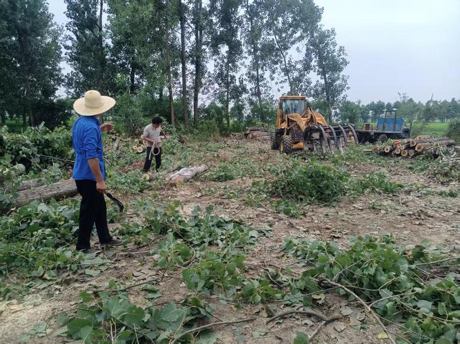土地整理行业发展前景