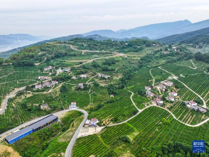 重庆农村产业发展前景