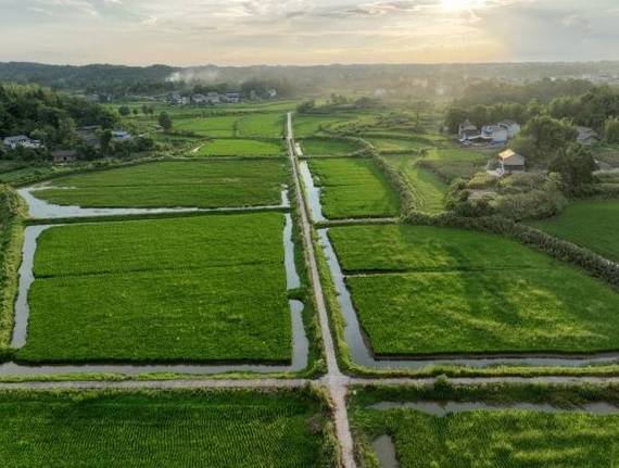 重庆农村产业发展前景