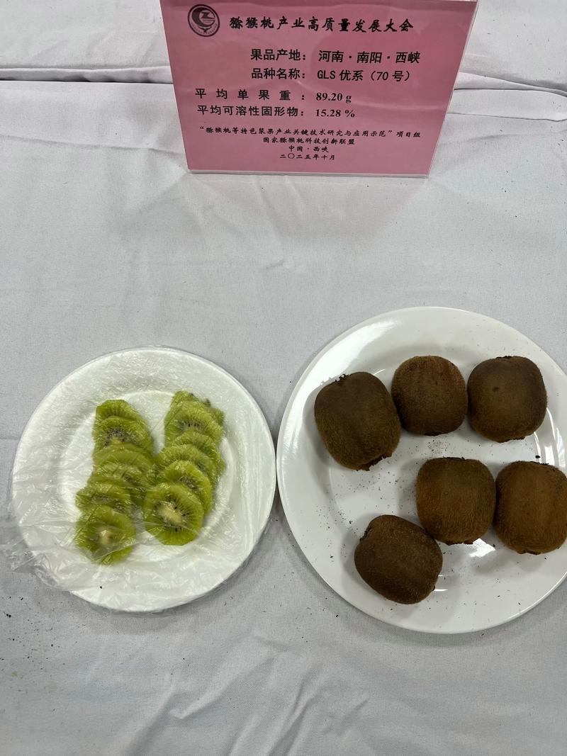 猕猴桃公司未来发展趋势