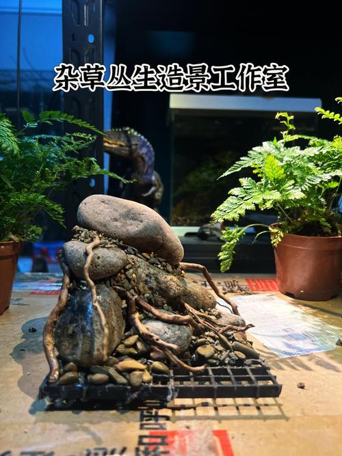 小型迷你鱼缸市场前景