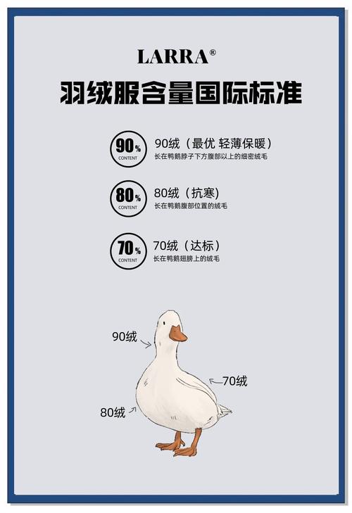国内羽绒服面料未来趋势如何?