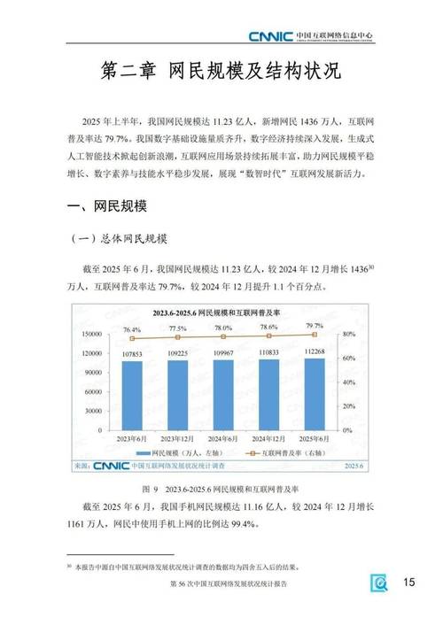 IPS发展现状如何?未来趋势又在哪里?
