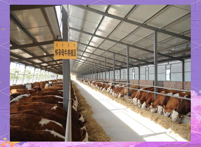 政策性金融如何支持江西畜牧业发展?