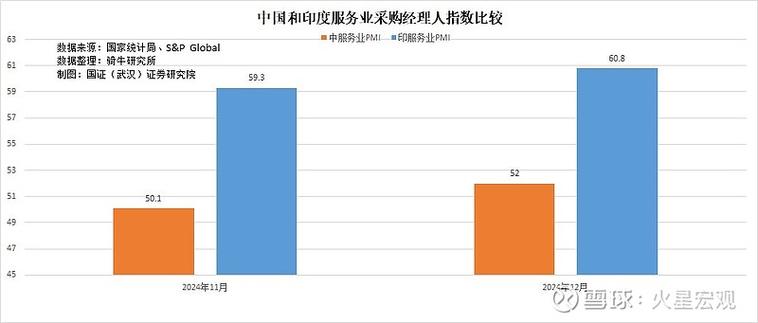 印度信息技术产业政策成效如何?