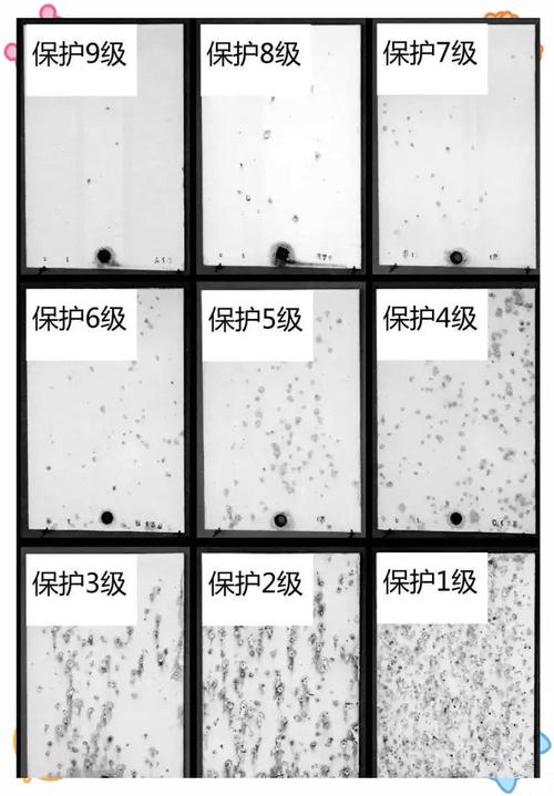 腐蚀发展趋势如何预测与防控?