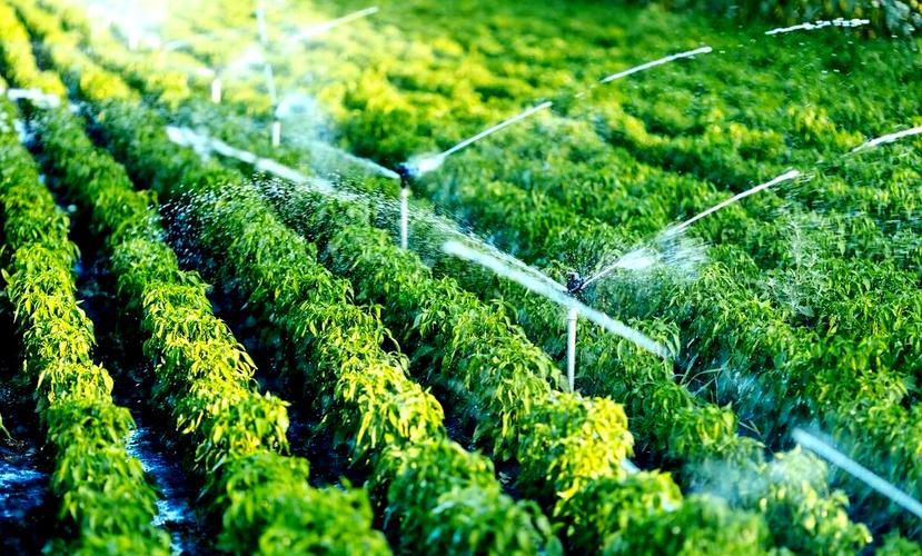 高效节水灌溉前景如何突破瓶颈?