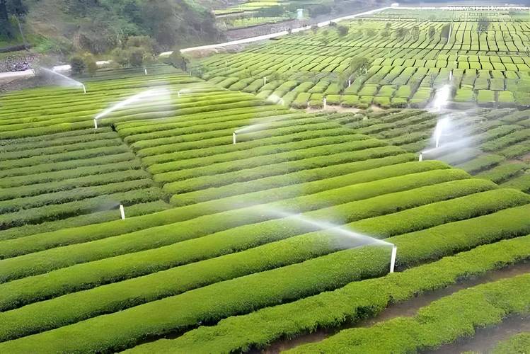 高效节水灌溉前景如何突破瓶颈?