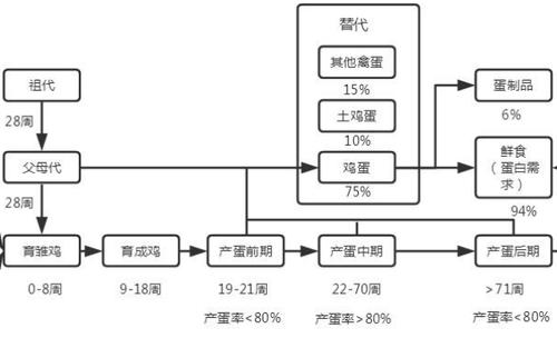 鸡蛋产业链未来将如何演进?