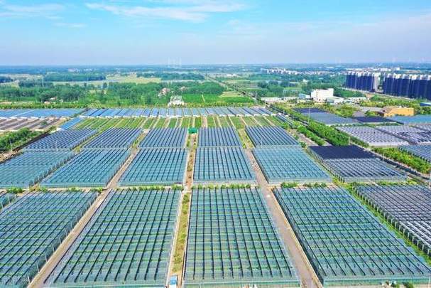 设施农业优势何在,发展前景如何?