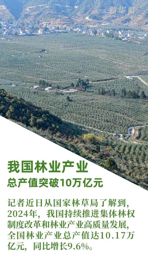 林业规划专业发展前景如何?