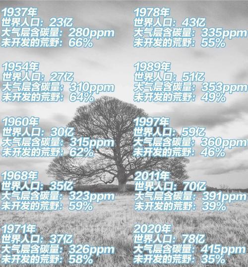 全球环保趋势,未来将走向何方?