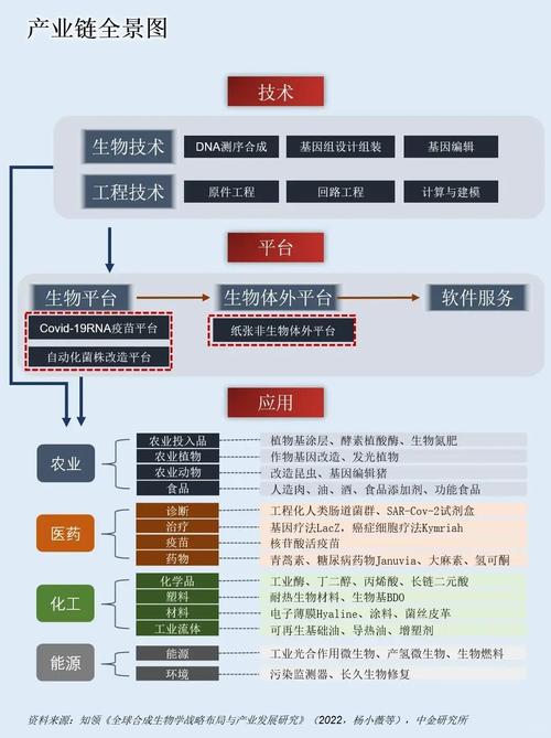 各国生物技术产业政策如何差异影响发展?