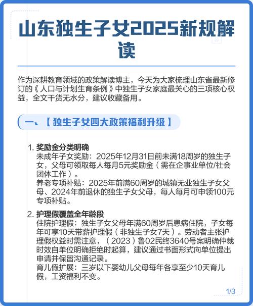 2025年节扎新政策具体有哪些变化?